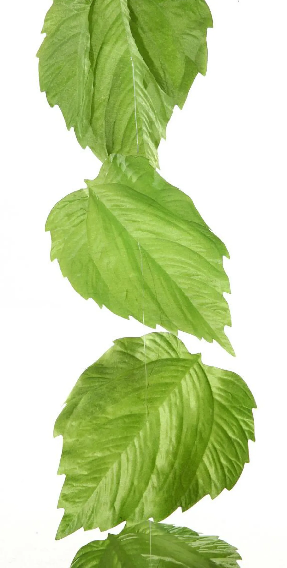 Decoración De Primavera|Decoración De Otoño>DecoWoerner Guirnalda Artificial De Hojas De Abedul 160 Cm verde