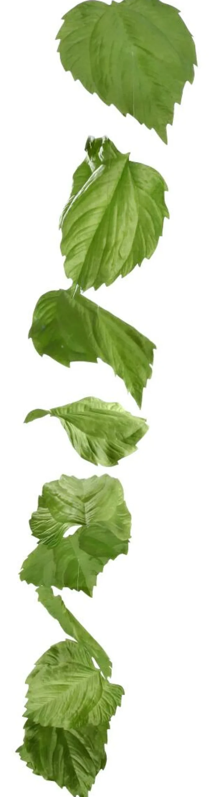 Decoración De Primavera|Decoración De Otoño>DecoWoerner Guirnalda Artificial De Hojas De Abedul 160 Cm verde