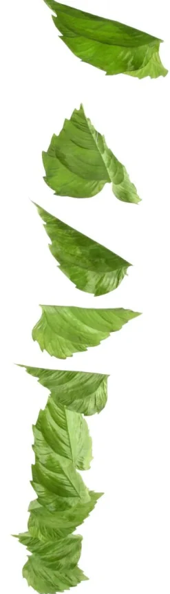Decoración De Primavera|Decoración De Otoño><noscript><img width=
