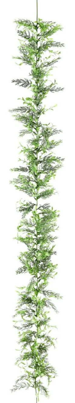 Guirnaldas Y Vides>DecoWoerner Guirnalda De Ciprés Y Boje, Longitud: 170 Cm verde