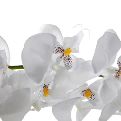 Guirnaldas Y Vides|Flores Artificiales>DecoWoerner Guirnalda De Orquídeas Artificiales Blancas 175 Cm blanco