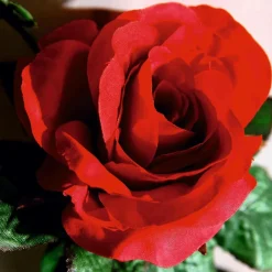 Decoración Temática|Guirnaldas Y Vides>DecoWoerner Guirnalda De Rosas Artificial 180 Cm, Color rojo