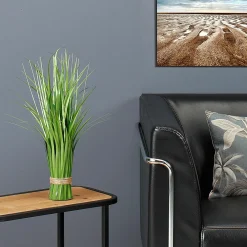 Hierba Decorativa><noscript><img width=