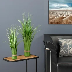 Hierba Decorativa><noscript><img width=