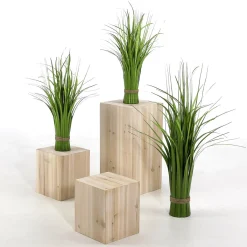 Hierba Decorativa><noscript><img width=