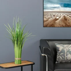 Hierba Decorativa><noscript><img width=
