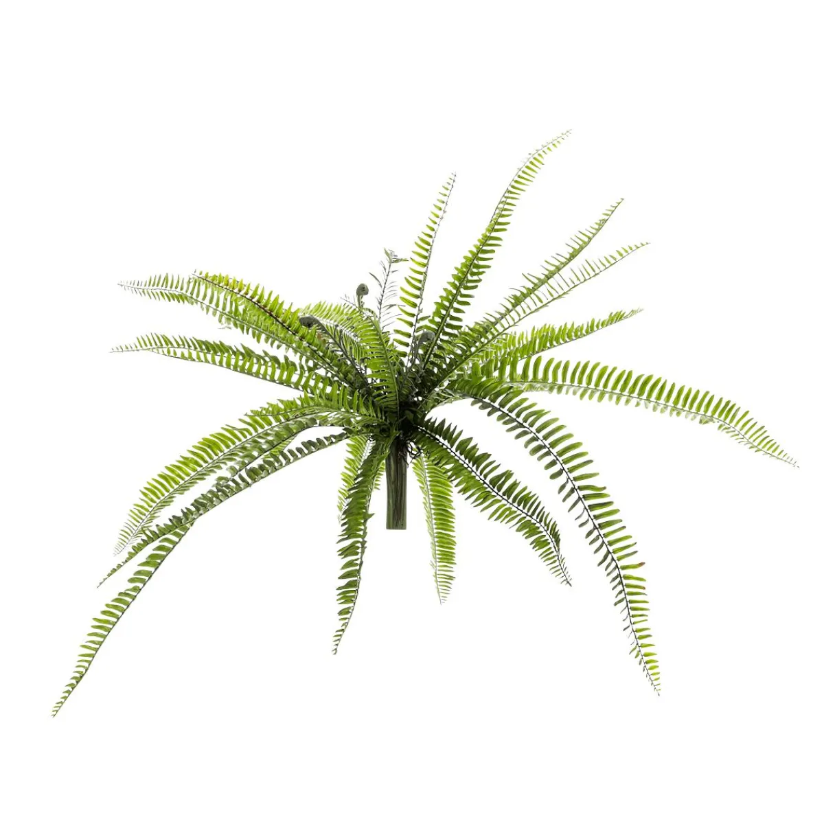 Plantas Verdes|Plantas De Interior>DecoWoerner Helecho XXL - Planta Artificial Con Palo De Inserción 100 Cm Ø verde