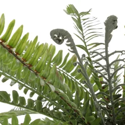 Plantas Verdes|Plantas De Interior>DecoWoerner Helecho XXL - Planta Artificial Con Palo De Inserción 100 Cm Ø verde