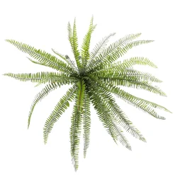 Plantas Verdes|Plantas De Interior><noscript><img width=