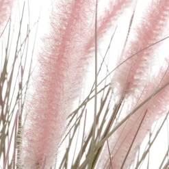 Hierba Decorativa><noscript><img width=