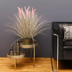 Hierba Decorativa><noscript><img width=