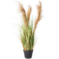 Hierba Decorativa><noscript><img width=