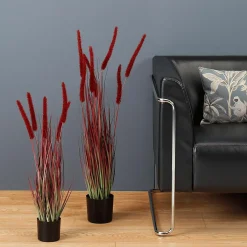 Hierba Decorativa><noscript><img width=