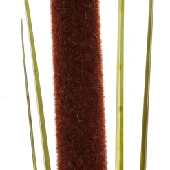 Decoración De Otoño|Decoración De Verano>DecoWoerner Hierba De Caña Deco 120 Cm Pack De 3 verde