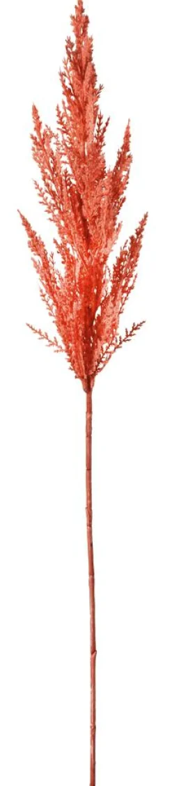 Ramas Y Ramitas>DecoWoerner Hierba De La Pampa De Caña Decorativa, 94 Cm rosa