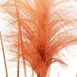 Decoración De Otoño|Decoración De Verano>DecoWoerner Hierba De La Pampa Decorativa De Color En Maceta Negra 117 Cm naranja