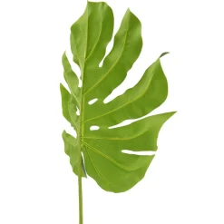 Decoración De Verano|Ramas Y Ramitas><noscript><img width=