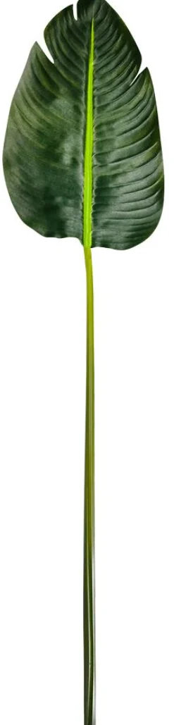 Decoración De Verano|Hojas>DecoWoerner Hoja De Banana Artificial, 75 Cm De Largo verde