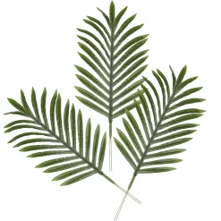 Decoración De Verano|Árboles Artificiales>DecoWoerner Hoja De Palma Areca Decorativa, Longitud 58 Cm, 3 Piezas verde