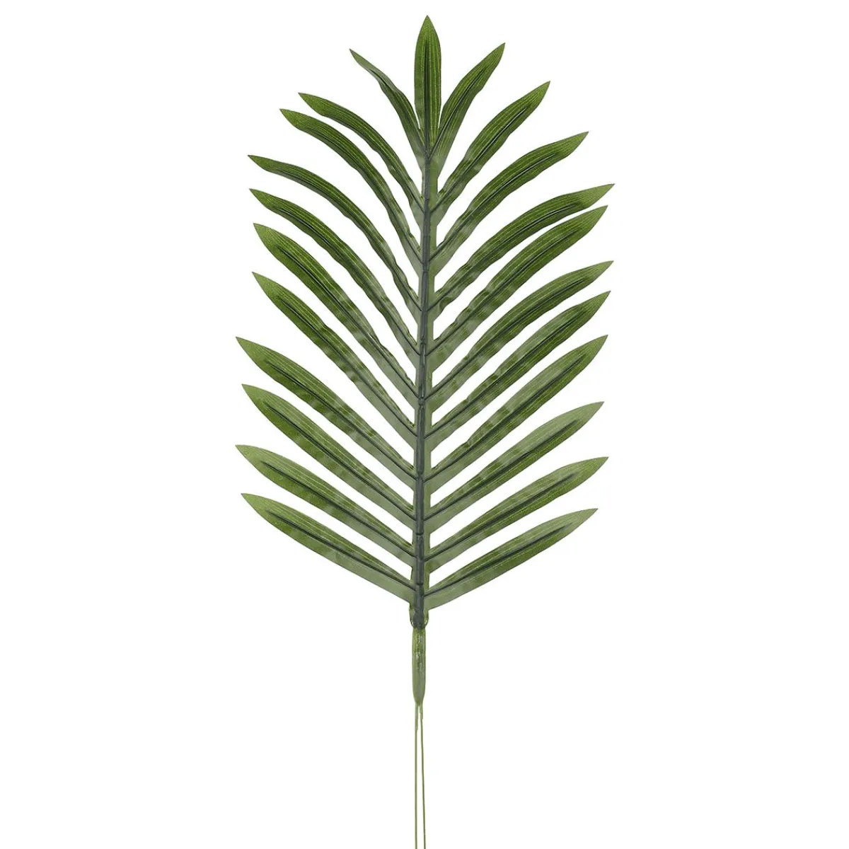 Decoración De Verano|Árboles Artificiales>DecoWoerner Hoja De Palma Areca Decorativa, Longitud 58 Cm, 3 Piezas verde