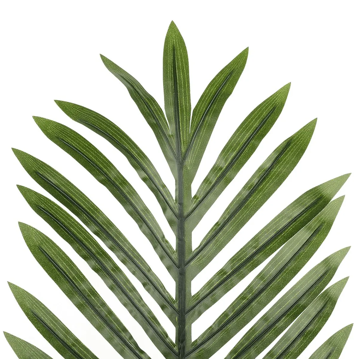 Decoración De Verano|Árboles Artificiales>DecoWoerner Hoja De Palma Areca Decorativa, Longitud 58 Cm, 3 Piezas verde