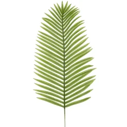 Decoración De Verano|Hojas>DecoWoerner Hoja De Palmera Areca Decorativa, Longitud 115 Cm verde
