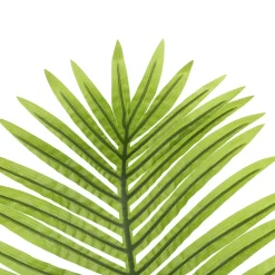 Decoración De Verano|Hojas>DecoWoerner Hoja De Palmera Areca Decorativa, Longitud 115 Cm verde