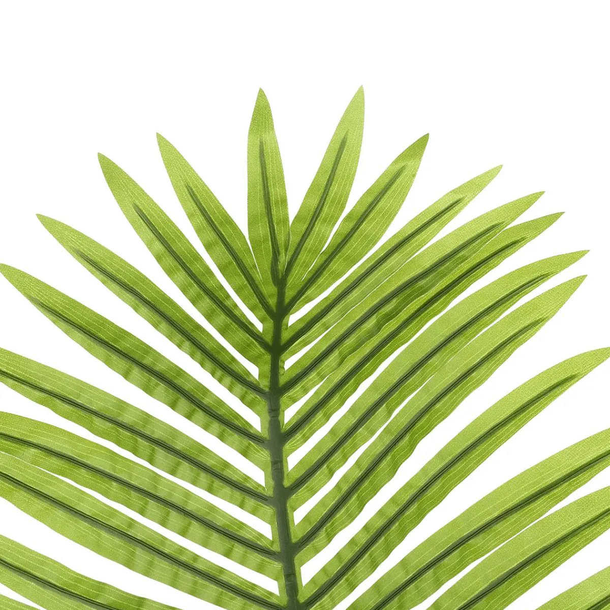 Decoración De Verano|Hojas>DecoWoerner Hoja De Palmera Areca Decorativa, Longitud 115 Cm verde