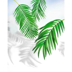 Decoración De Verano|Hojas><noscript><img width=