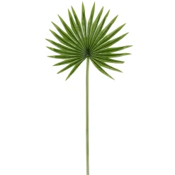 Decoración De Verano|Hojas>DecoWoerner Hoja De Palmera En Abanico Decorativa, Longitud 66 Cm, 2 Piezas verde