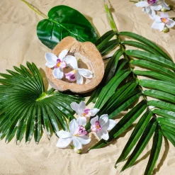 Decoración De Verano|Hojas>DecoWoerner Hoja De Palmera En Abanico Decorativa, Longitud 66 Cm, 2 Piezas verde