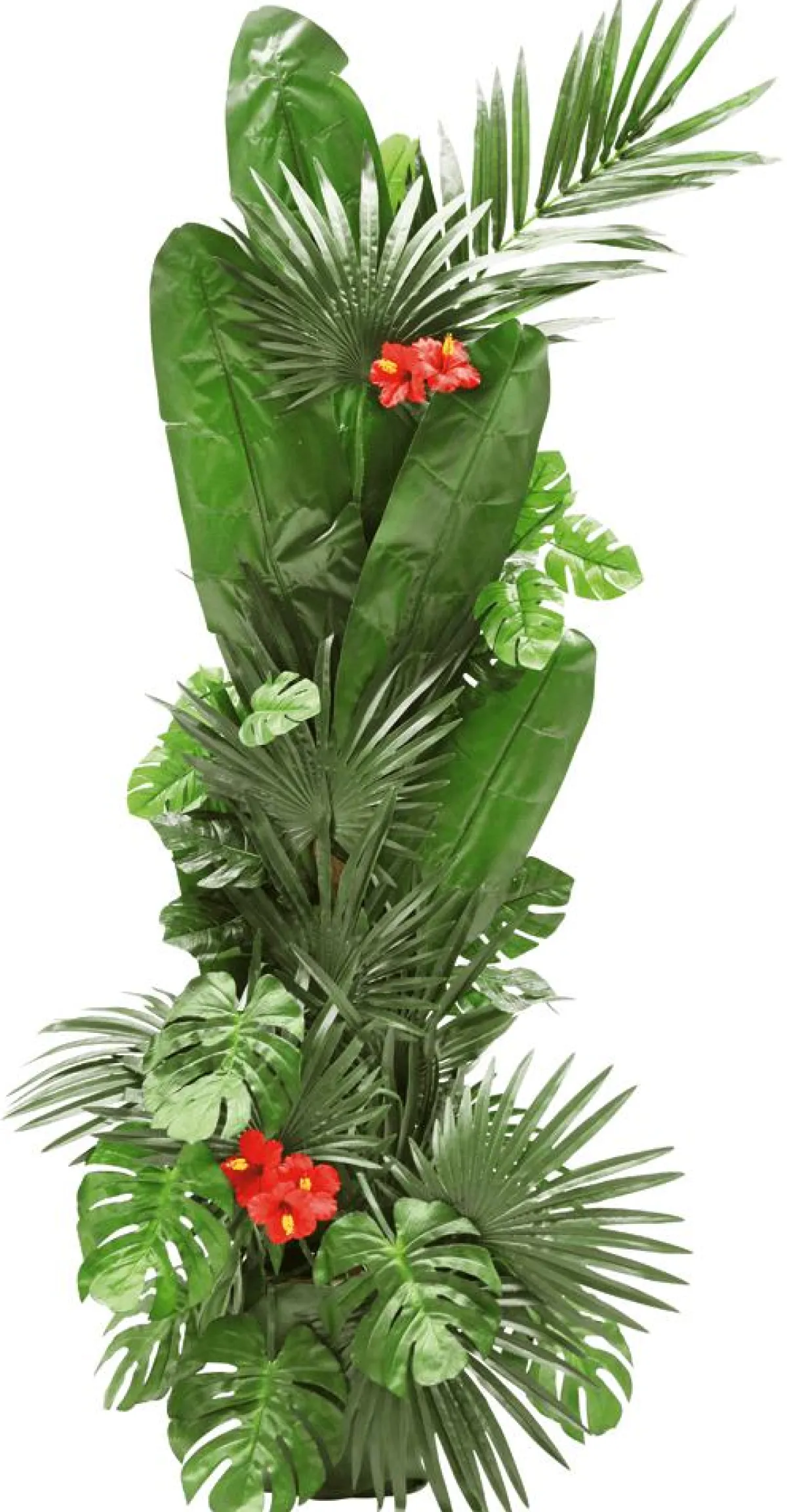 Decoración De Verano|Hojas>DecoWoerner Hoja De Palmera En Abanico Decorativa, Longitud 66 Cm, 2 Piezas verde
