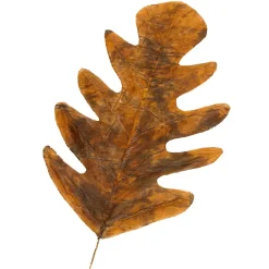 Decoración De Otoño|Hojas><noscript><img width=