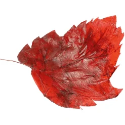 Decoración De Otoño|Hojas><noscript><img width=