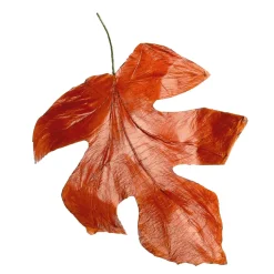 Decoración De Otoño|Hojas><noscript><img width=