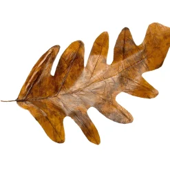 Decoración De Otoño|Hojas><noscript><img width=