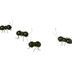 Decoración De Primavera|Decoración De Animales>DecoWoerner Hormiga Decorativa, 10 Cm negro