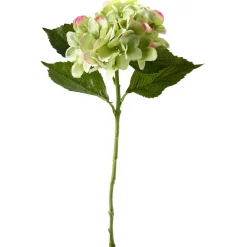 Decoración De Primavera|Flores Artificiales>DecoWoerner Hortensia Artificial , 52 Cm verde