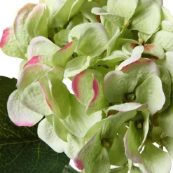 Decoración De Primavera|Flores Artificiales>DecoWoerner Hortensia Artificial , 52 Cm verde