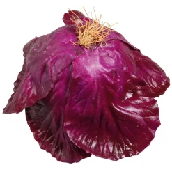 Verduras Y Hierbas><noscript><img width=