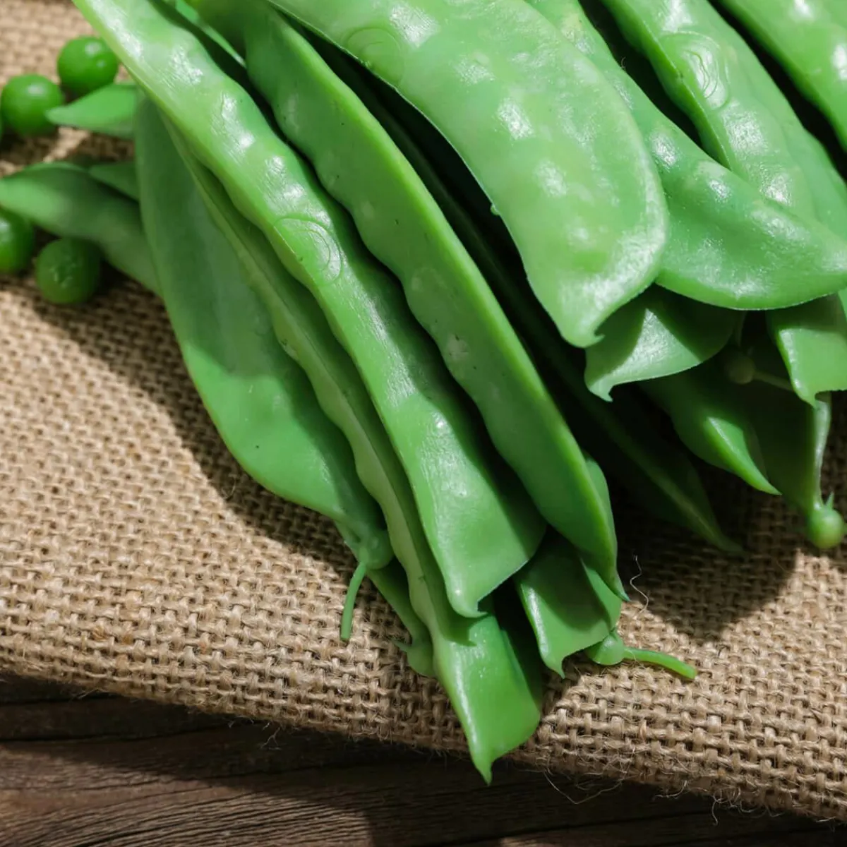 Verduras Y Hierbas>DecoWoerner Imitación De Ejotes, 24 Piezas verde
