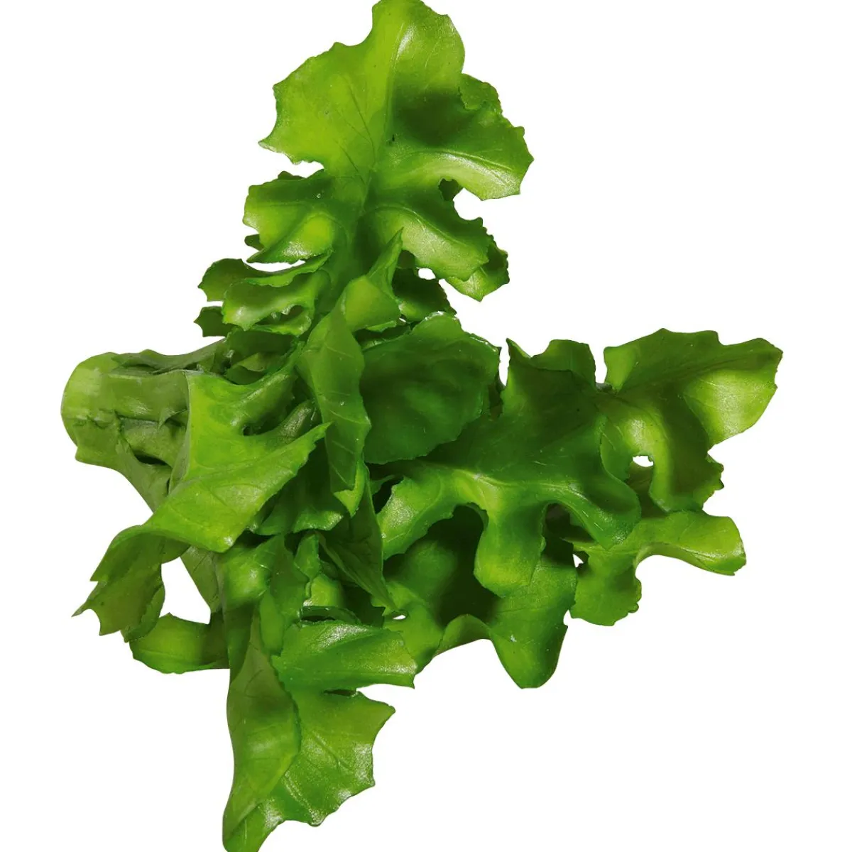 Verduras Y Hierbas>DecoWoerner Imitación De Ensalada De Rúgula, Ø 16 Cm, 2 Piezas verde