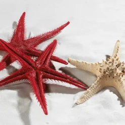 Decoración De Verano|Pescados Y Mariscos><noscript><img width=