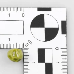 Platos Y Comida Rápida|Verduras Y Hierbas>DecoWoerner Imitación De Guisantes Escaldados 100 G verde