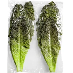 Verduras Y Hierbas><noscript><img width=