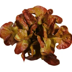 Verduras Y Hierbas><noscript><img width=
