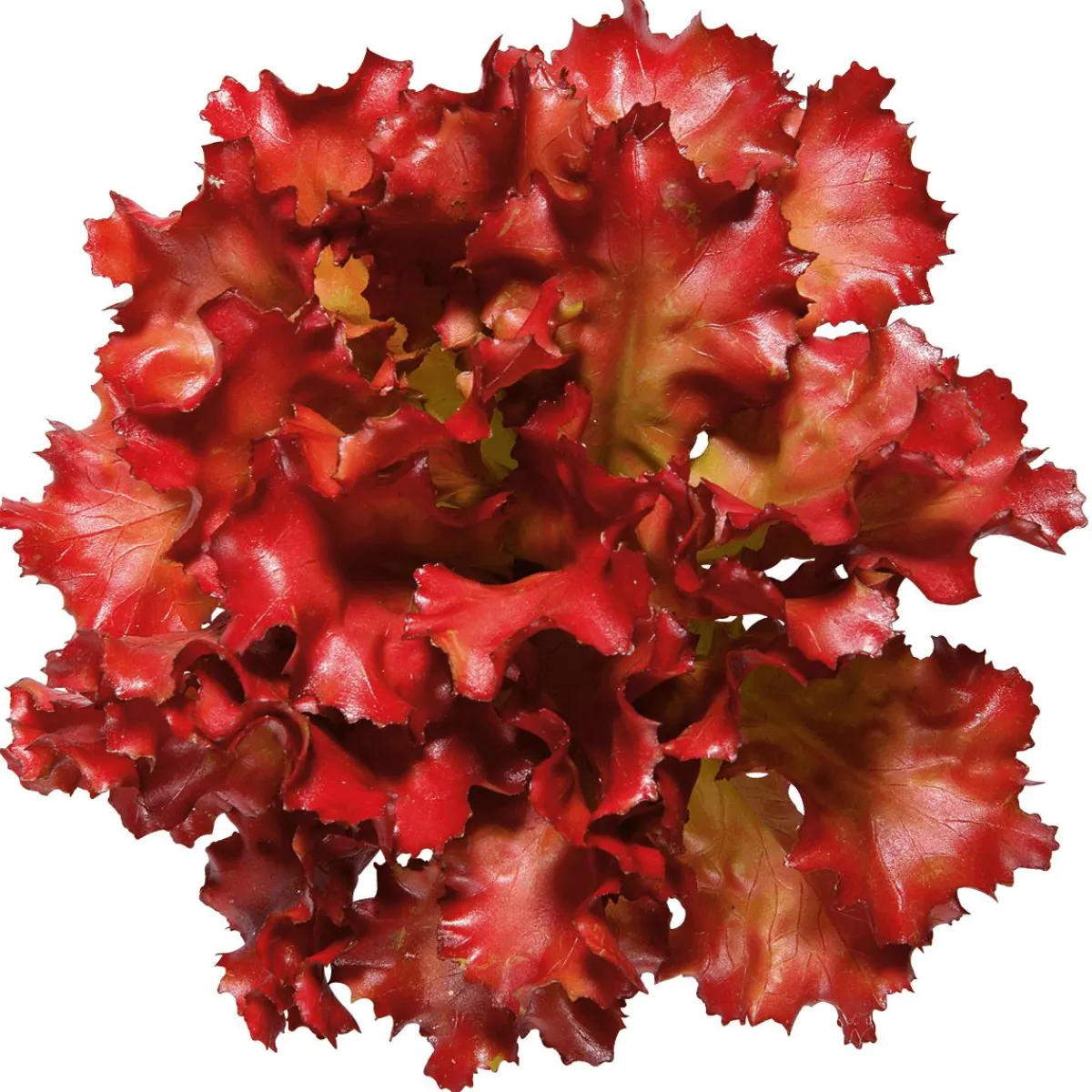 Verduras Y Hierbas>DecoWoerner Imitación De Lechuga Lollo Rosso, Ø 16 Cm rojo