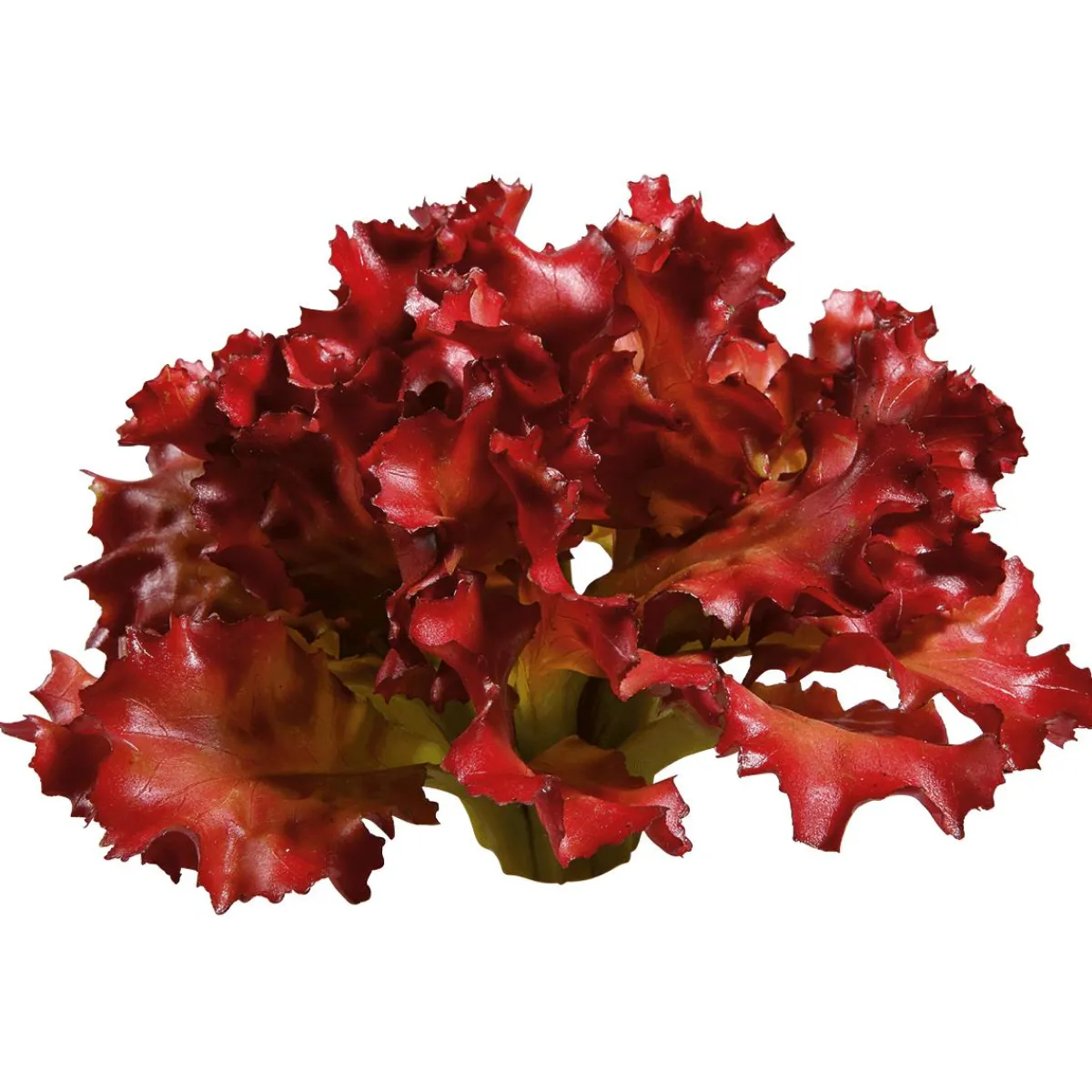 Verduras Y Hierbas>DecoWoerner Imitación De Lechuga Lollo Rosso, Ø 16 Cm rojo