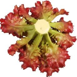 Verduras Y Hierbas><noscript><img width=