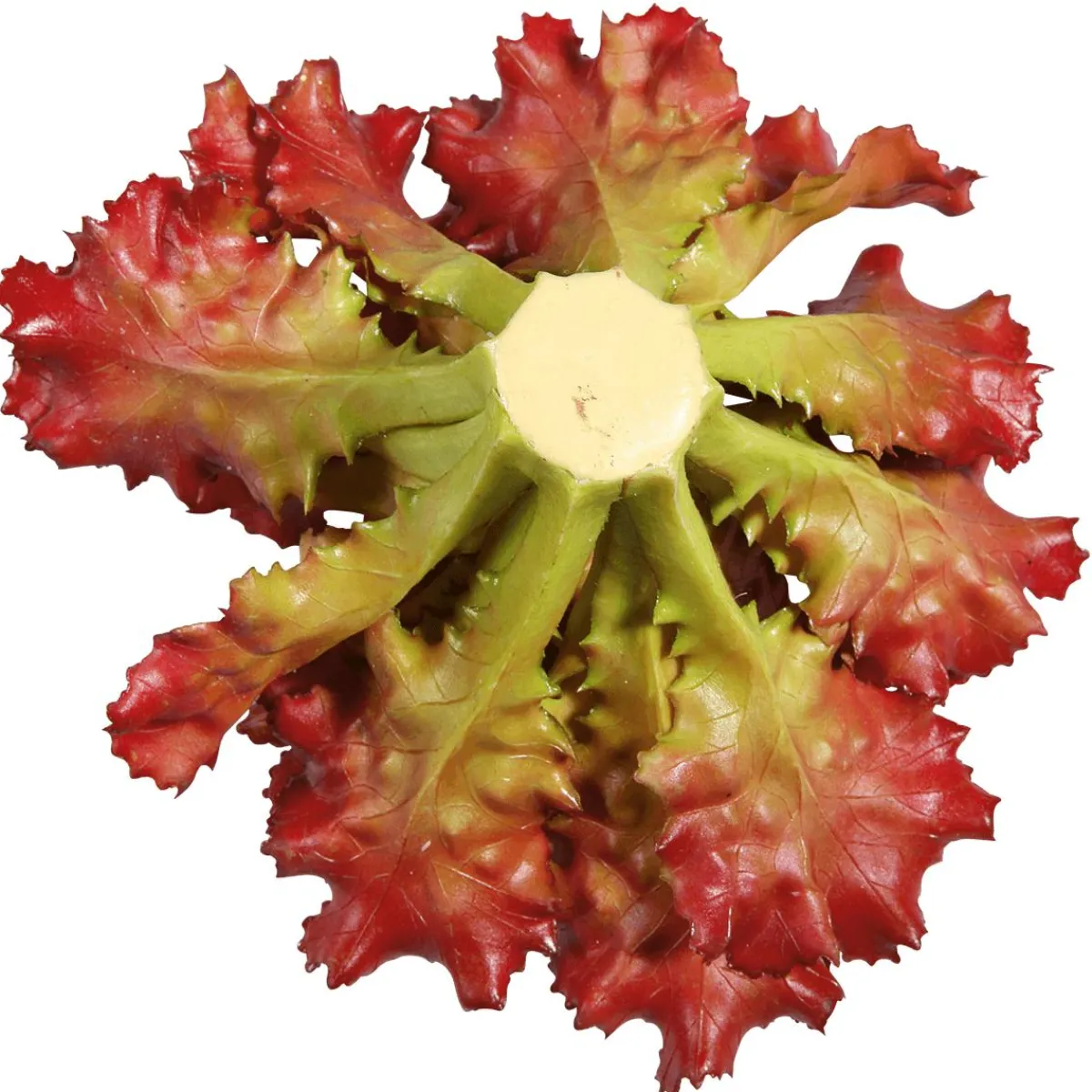 Verduras Y Hierbas>DecoWoerner Imitación De Lechuga Lollo Rosso, Ø 16 Cm rojo